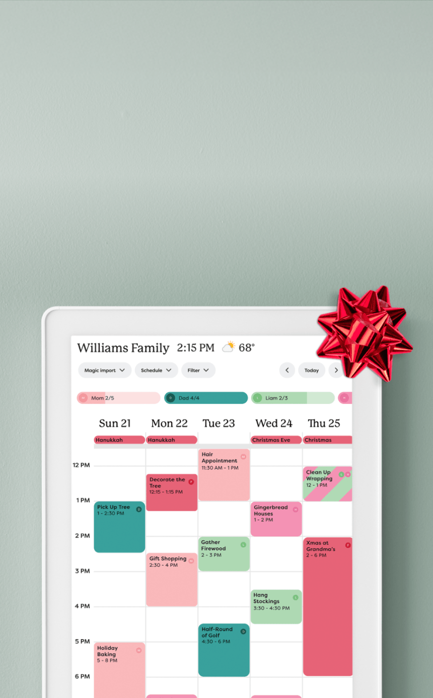 Skylight Calendar Max displayed on wall